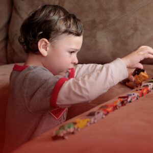 IPVA para Autistas: Direito à Isenção e Restituição de Valores Pagos