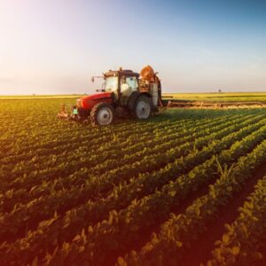 Dívida Rural: Como Evitar a Perda de sua Propriedade ou Equipamentos
