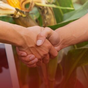 Dívida no Crédito Rural em Veríssimo: Conheça Seus Direitos e Opções Legais