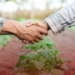 Busca e Apreensão em Dívida Rural: O Que Fazer Diante de uma Medida Judicial