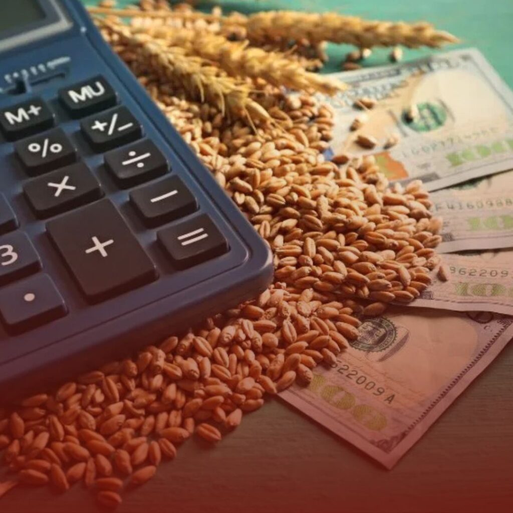 União de Minas: Como Evitar Perdas com Dívidas Bancárias no Campo