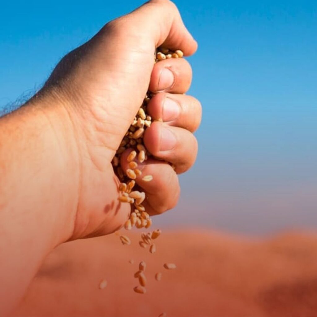 Defesa Contra Bancos em Dívidas Rurais: Seus Direitos e Estratégias