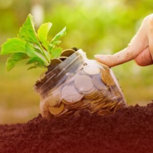 Como Lidar com Dívidas Rurais em Uberaba: Soluções Legais para Produtores