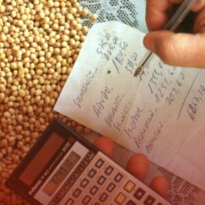 Como Regularizar Dívidas Rurais em Pedrinópolis com Segurança Jurídica