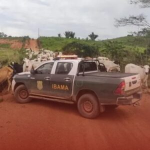 Busca e Apreensão de Máquinas ou Gado por Dívida Rural: O Que Fazer em Uberlândia ou Uberaba?