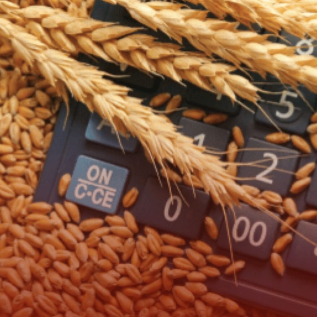 Dívida Bancária Rural: Como Evitar a Busca e Apreensão em Campo Florido
