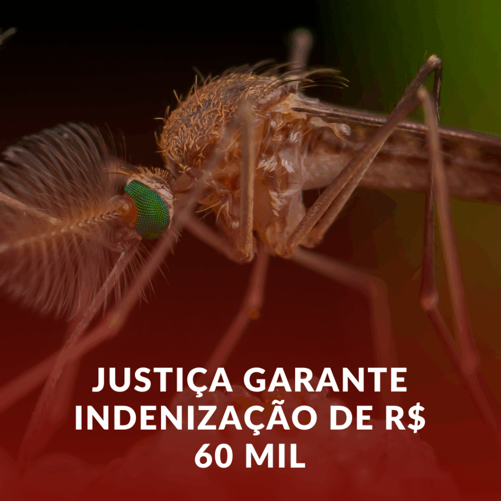 Nova Decisão: R$ 60 Mil para Vítimas de Microcefalia Causada pelo Zika Vírus – Seus Direitos Importam!