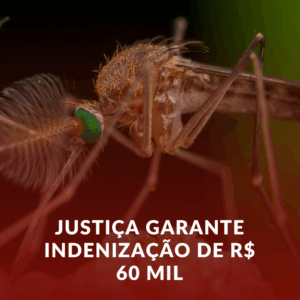 Nova Decisão: R$ 60 Mil para Vítimas de Microcefalia Causada pelo Zika Vírus – Seus Direitos Importam!